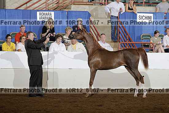 Proof 10r12_6067