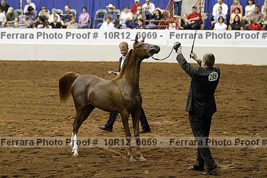 Proof 10r12_6069