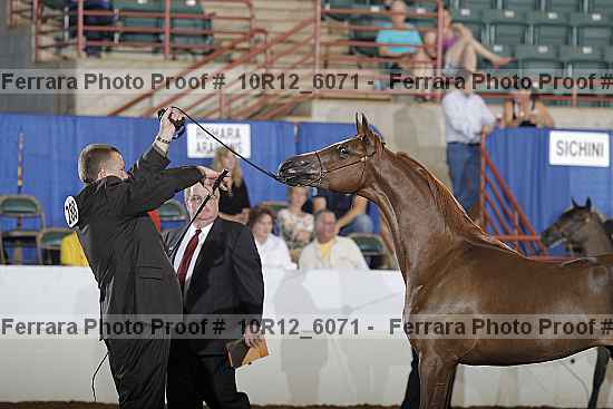 Proof 10r12_6071