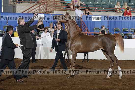 Proof 10r12_6072