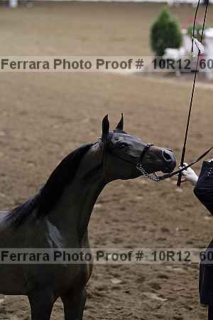 Proof 10r12_6074
