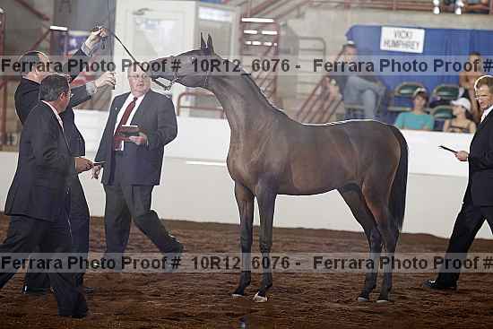 Proof 10r12_6076