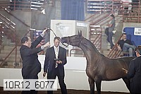 10r12_6077 proof