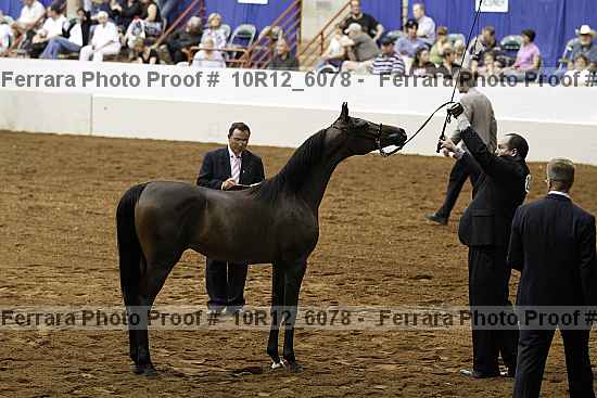Proof 10r12_6078