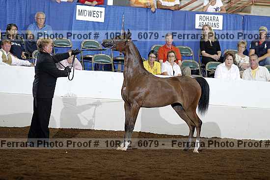 Proof 10r12_6079