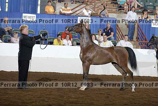 Proof 10r12_6083