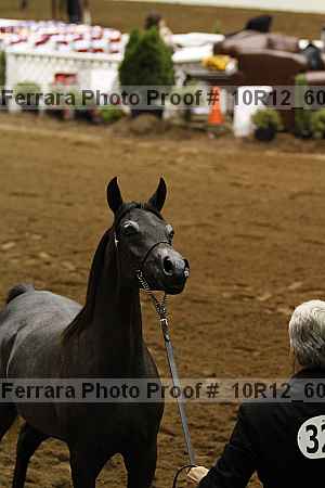 Proof 10r12_6087