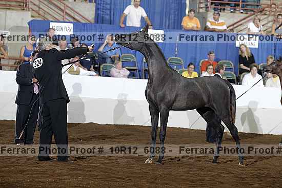 Proof 10r12_6088