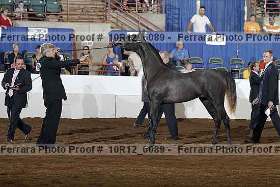 Proof 10r12_6089