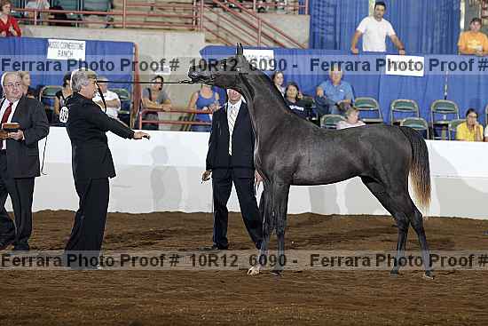 Proof 10r12_6090