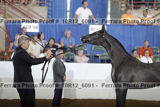 Proof 10r12_6091