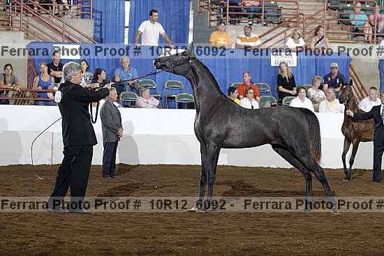 Proof 10r12_6092