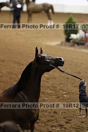 Proof 10r12_6093