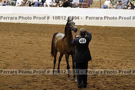 Proof 10r12_6094