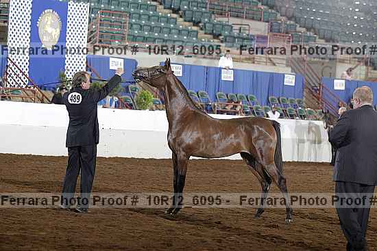 Proof 10r12_6095