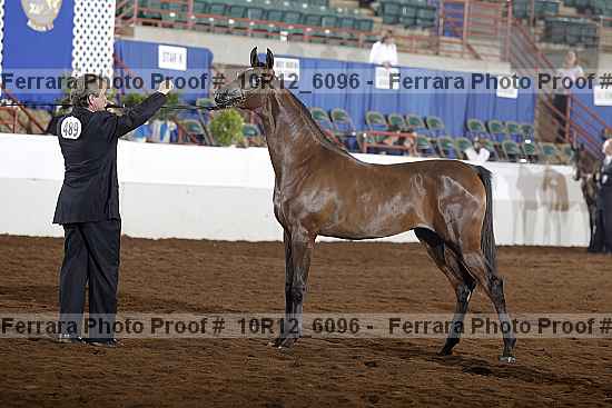 Proof 10r12_6096