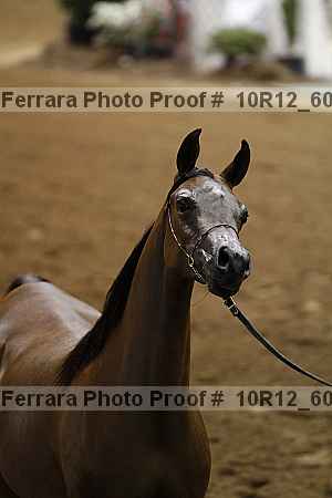 Proof 10r12_6097