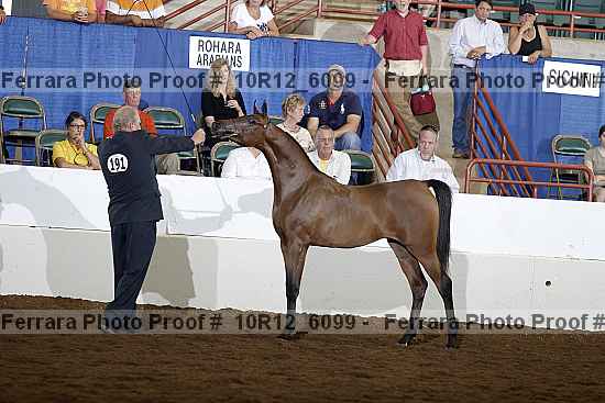Proof 10r12_6099