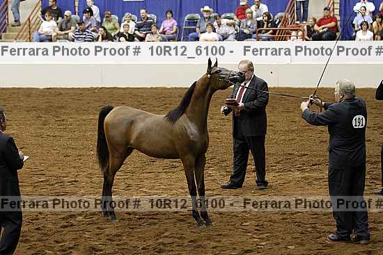 Proof 10r12_6100
