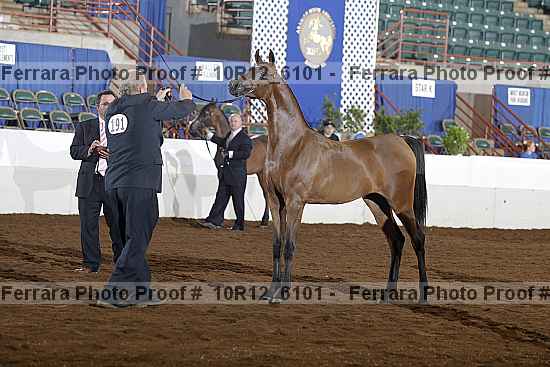 Proof 10r12_6101