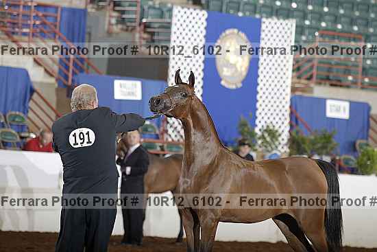 Proof 10r12_6102