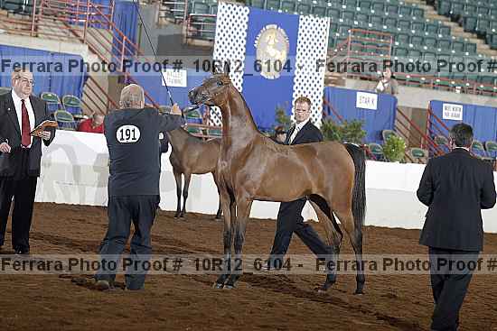 Proof 10r12_6104