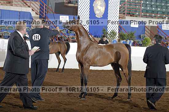 Proof 10r12_6105