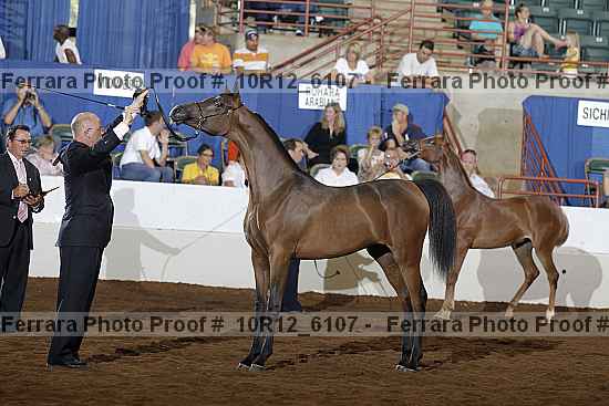 Proof 10r12_6107