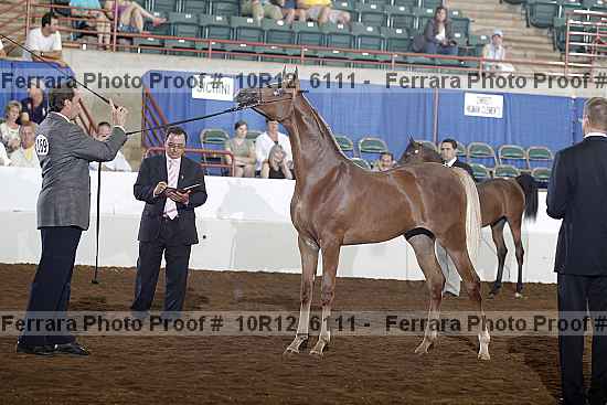 Proof 10r12_6111