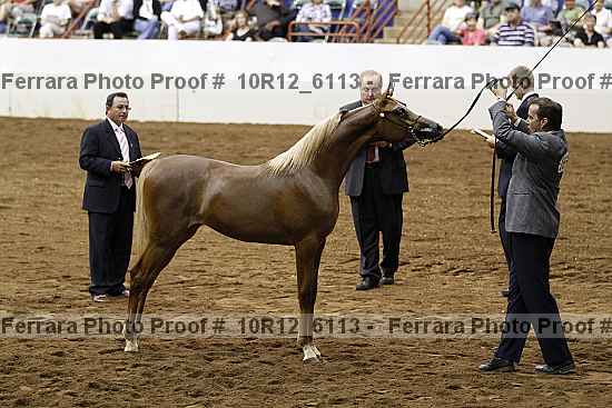 Proof 10r12_6113