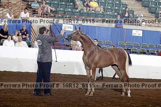 Proof 10r12_6115