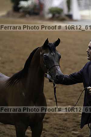 Proof 10r12_6116