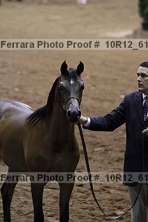 Proof 10r12_6117