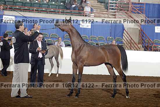 Proof 10r12_6122