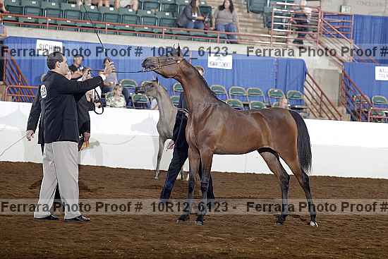 Proof 10r12_6123
