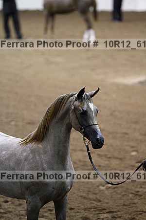 Proof 10r12_6124