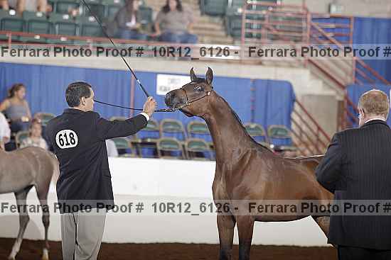 Proof 10r12_6126