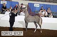 10r12_6127 proof