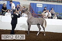 10r12_6128 proof
