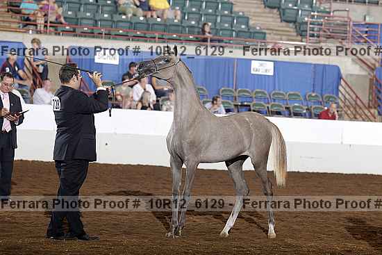Proof 10r12_6129