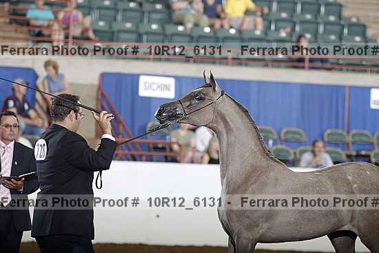 Proof 10r12_6131