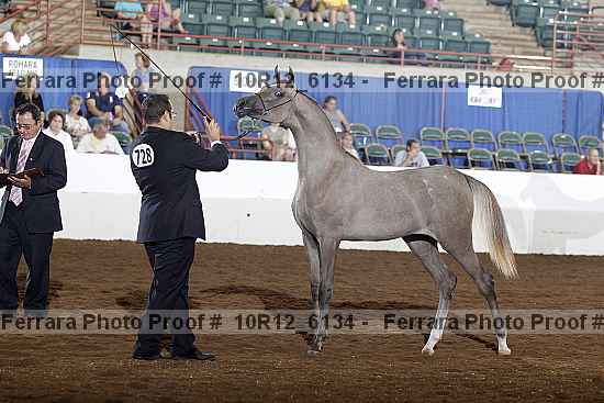 Proof 10r12_6134