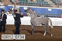 10r12_6134 proof