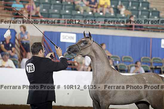 Proof 10r12_6135