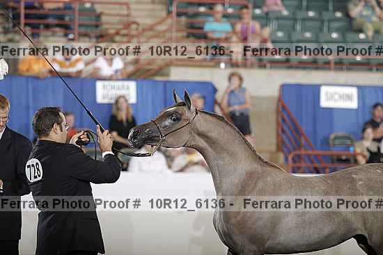Proof 10r12_6136