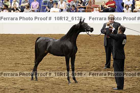 Proof 10r12_6138