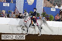 10r12_6285 proof