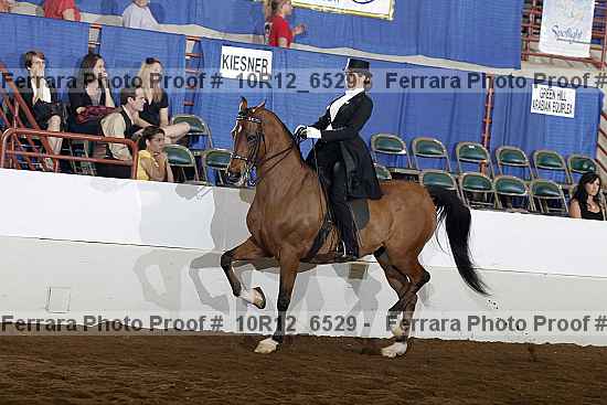 Proof 10r12_6529