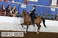 10r12_6529 proof