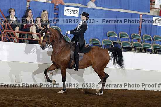 Proof 10r12_6533